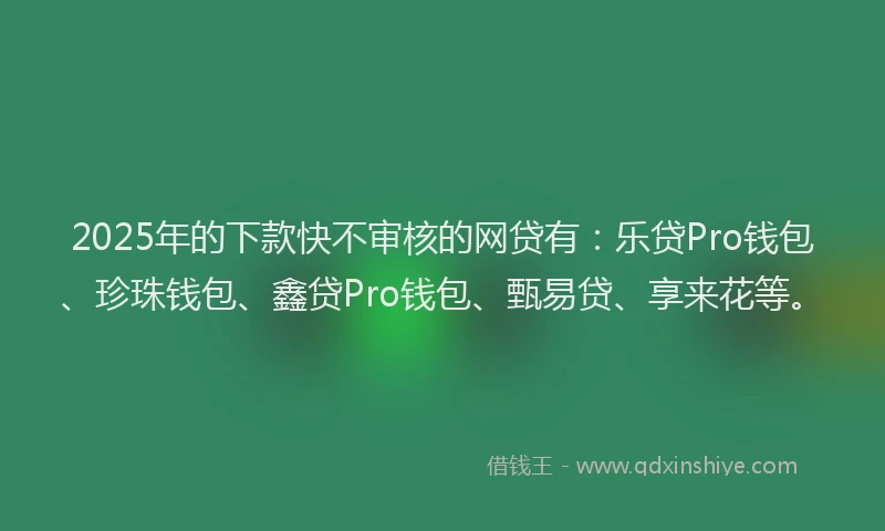 2025年的下款快不审核的网贷有：乐贷Pro钱包、珍珠钱包、鑫贷Pro钱包、甄易贷、享来花等。