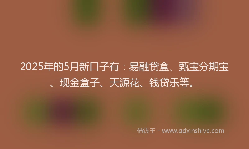 2025年的5月新口子有：易融贷盒、甄宝分期宝、现金盒子、天源花、钱贷乐等。