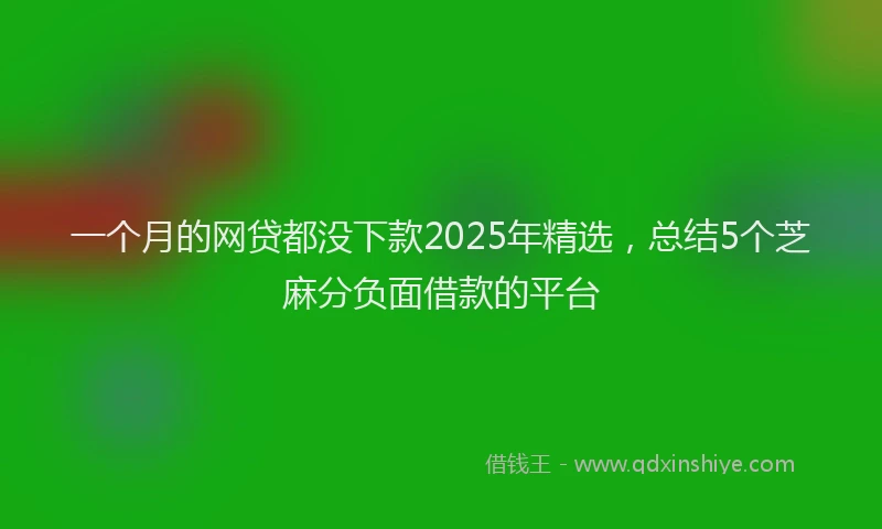 一个月的网贷都没下款2025年精选，总结5个芝麻分负面借款的平台
