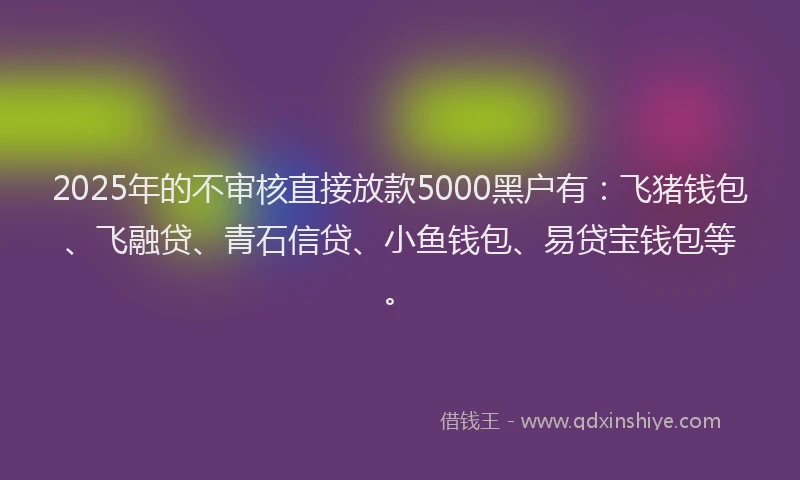 2025年的不审核直接放款5000黑户有：飞猪钱包、飞融贷、青石信贷、小鱼钱包、易贷宝钱包等。
