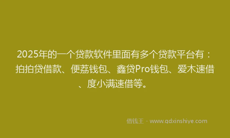 2025年的一个贷款软件里面有多个贷款平台有：拍拍贷借款、便荔钱包、鑫贷Pro钱包、爱木速借、度小满速借等。