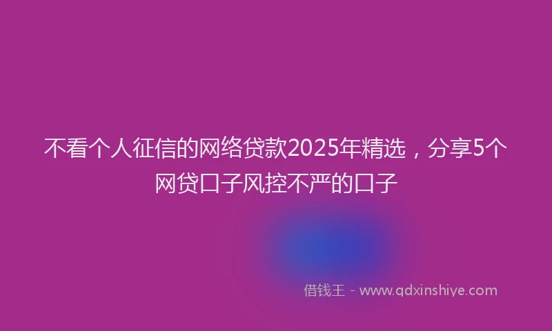 不看个人征信的网络贷款2025年精选，分享5个网贷口子风控不严的口子