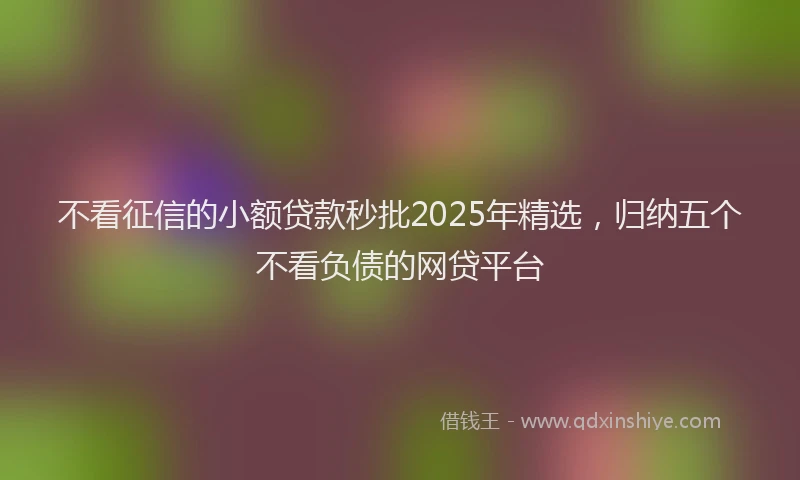 不看征信的小额贷款秒批2025年精选，归纳五个不看负债的网贷平台
