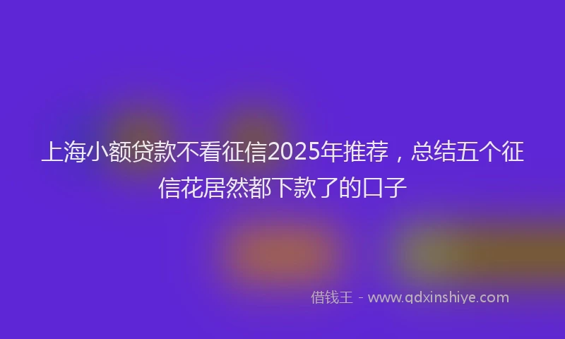 上海小额贷款不看征信2025年推荐，总结五个征信花居然都下款了的口子