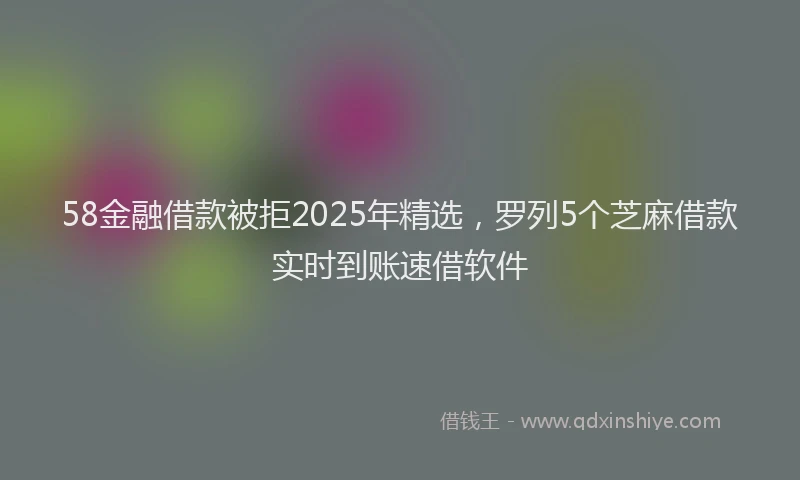 58金融借款被拒2025年精选，罗列5个芝麻借款实时到账速借软件
