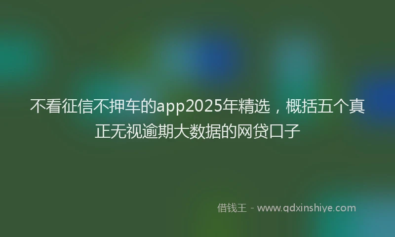 不看征信不押车的app2025年精选，概括五个真正无视逾期大数据的网贷口子