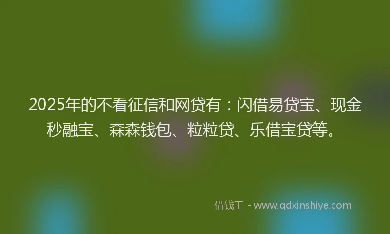 2025年的不看征信和网贷有：闪借易贷宝、现金秒融宝、森森钱包、粒粒贷、乐借宝贷等。
