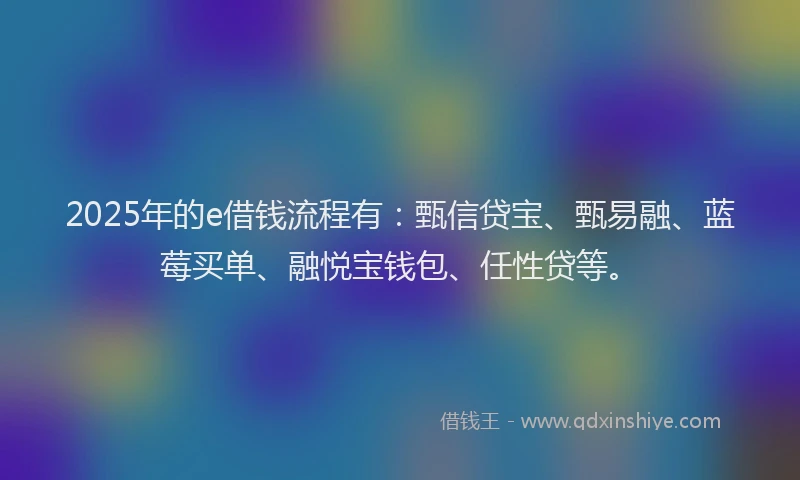2025年的e借钱流程有：甄信贷宝、甄易融、蓝莓买单、融悦宝钱包、任性贷等。