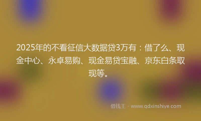 2025年的不看征信大数据贷3万有：借了么、现金中心、永卓易购、现金易贷宝融、京东白条取现等。