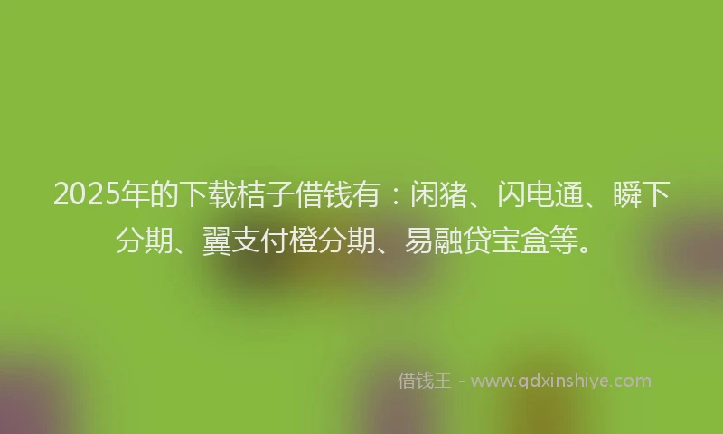 2025年的下载桔子借钱有：闲猪、闪电通、瞬下分期、翼支付橙分期、易融贷宝盒等。
