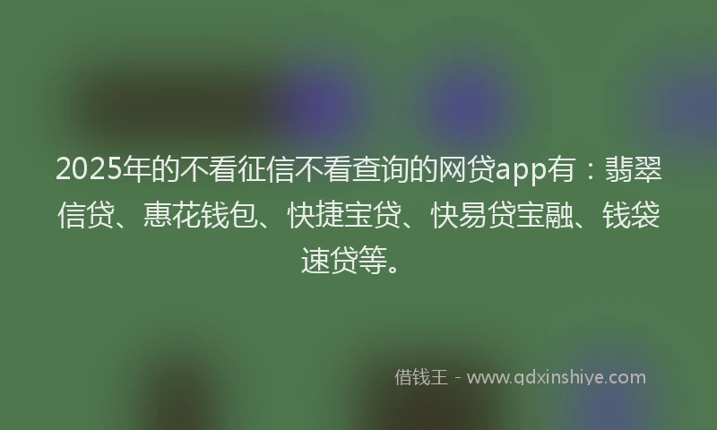 2025年的不看征信不看查询的网贷app有：翡翠信贷、惠花钱包、快捷宝贷、快易贷宝融、钱袋速贷等。