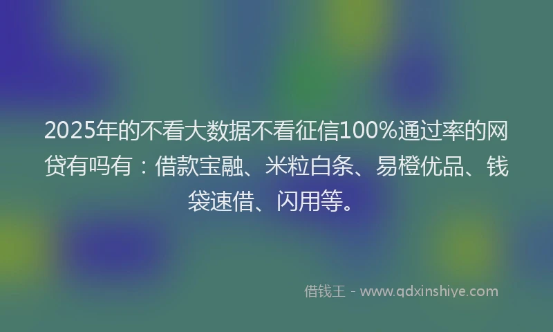 2025年的不看大数据不看征信100%通过率的网贷有吗有：借款宝融、米粒白条、易橙优品、钱袋速借、闪用等。