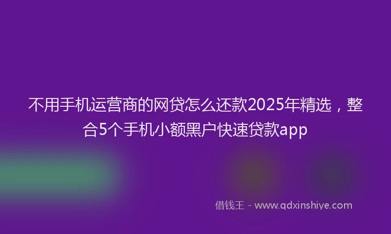 不用手机运营商的网贷怎么还款2025年精选，整合5个手机小额黑户快速贷款app