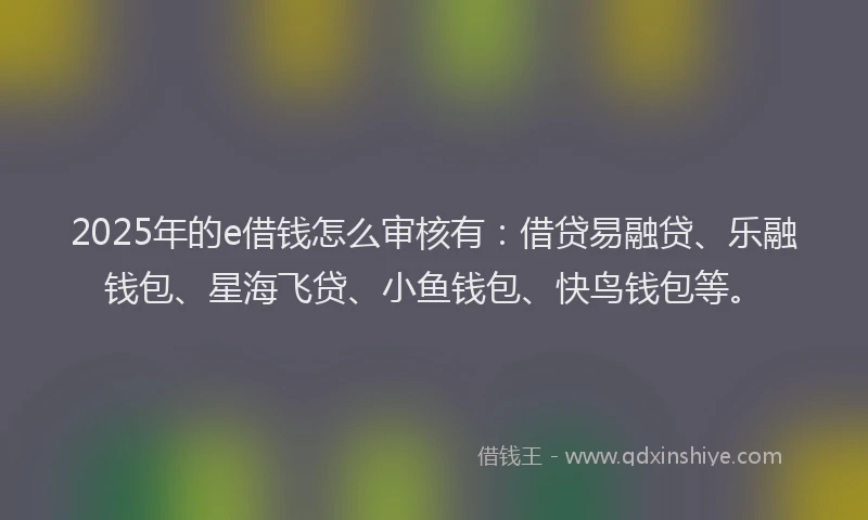 2025年的e借钱怎么审核有：借贷易融贷、乐融钱包、星海飞贷、小鱼钱包、快鸟钱包等。