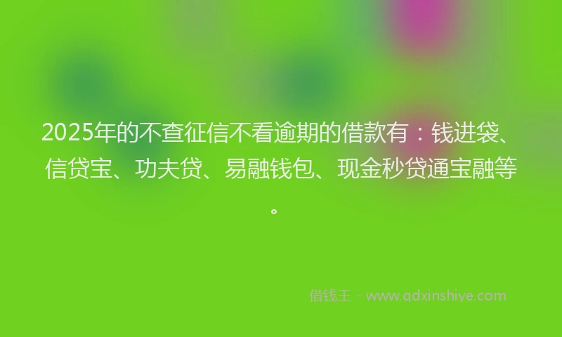 2025年的不查征信不看逾期的借款有：钱进袋、信贷宝、功夫贷、易融钱包、现金秒贷通宝融等。