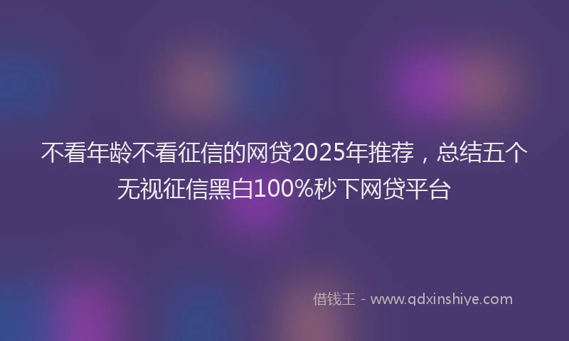 不看年龄不看征信的网贷2025年推荐，总结五个无视征信黑白100%秒下网贷平台