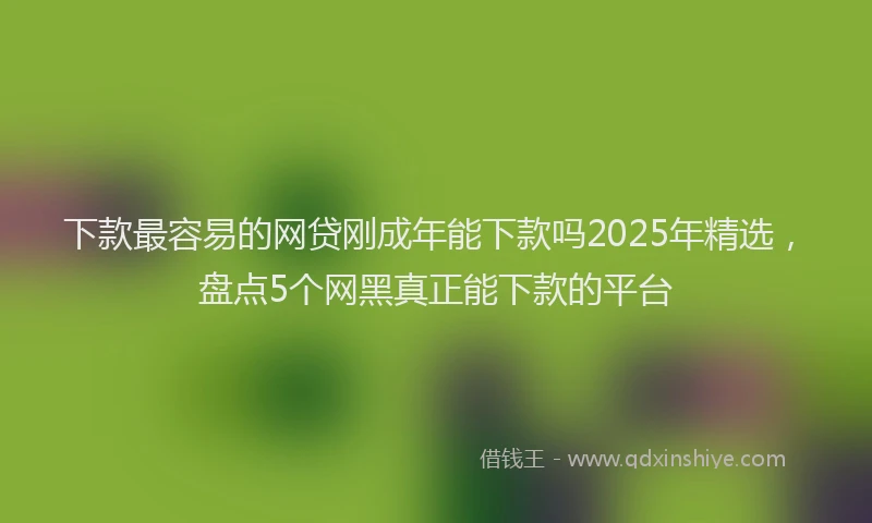 下款最容易的网贷刚成年能下款吗2025年精选，盘点5个网黑真正能下款的平台