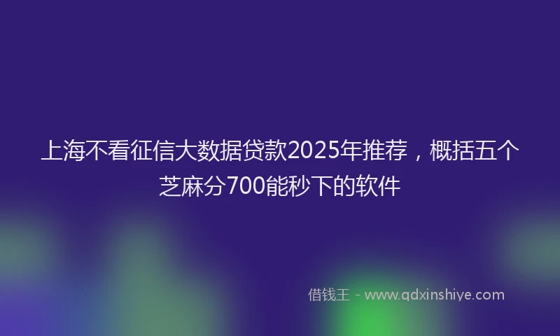 上海不看征信大数据贷款2025年推荐，概括五个芝麻分700能秒下的软件