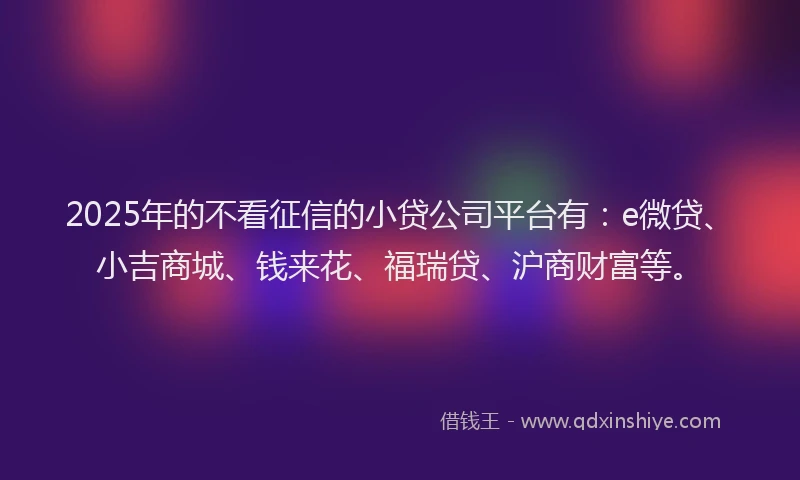2025年的不看征信的小贷公司平台有：e微贷、小吉商城、钱来花、福瑞贷、沪商财富等。