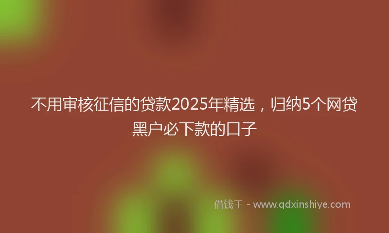 不用审核征信的贷款2025年精选，归纳5个网贷黑户必下款的口子