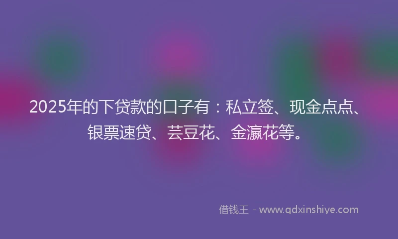 2025年的下贷款的口子有：私立签、现金点点、银票速贷、芸豆花、金瀛花等。