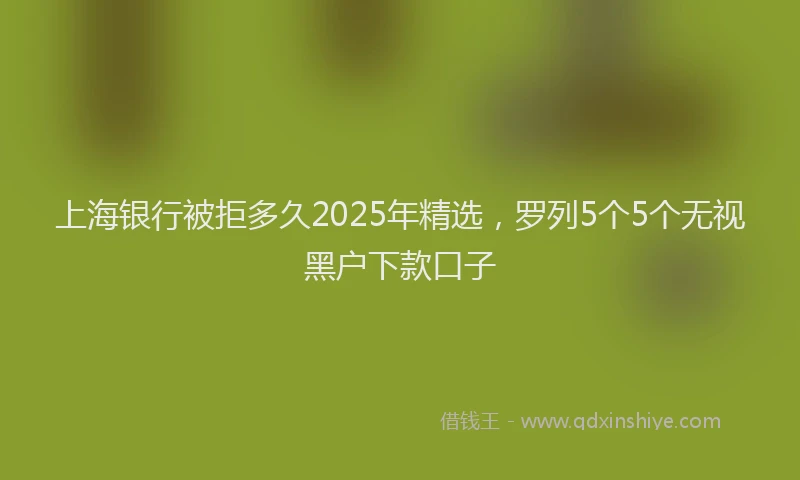 上海银行被拒多久2025年精选，罗列5个5个无视黑户下款口子