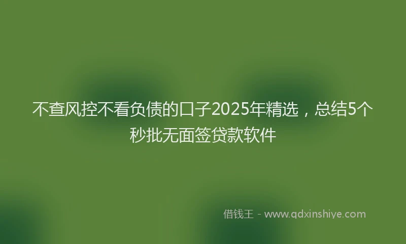 不查风控不看负债的口子2025年精选，总结5个秒批无面签贷款软件