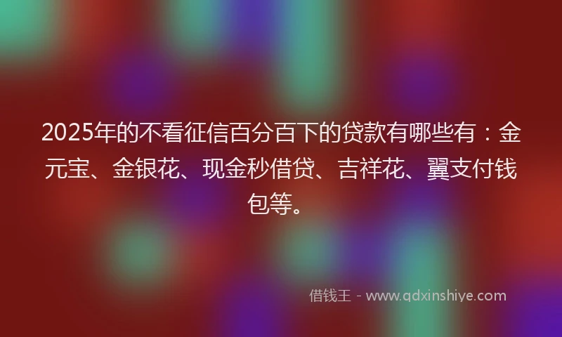 2025年的不看征信百分百下的贷款有哪些有：金元宝、金银花、现金秒借贷、吉祥花、翼支付钱包等。