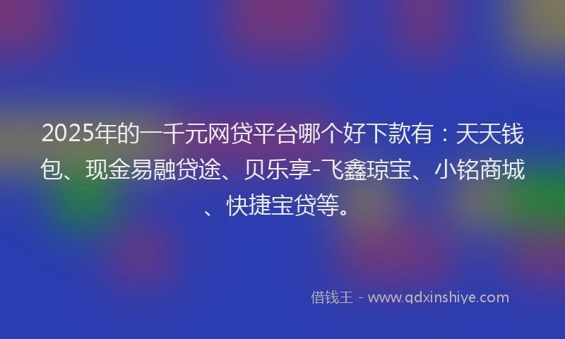 2025年的一千元网贷平台哪个好下款有：天天钱包、现金易融贷途、贝乐享-飞鑫琼宝、小铭商城、快捷宝贷等。