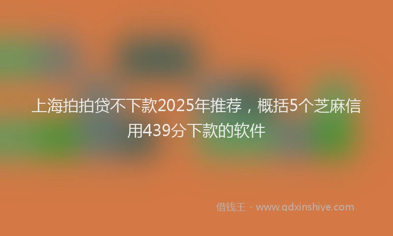 上海拍拍贷不下款2025年推荐，概括5个芝麻信用439分下款的软件