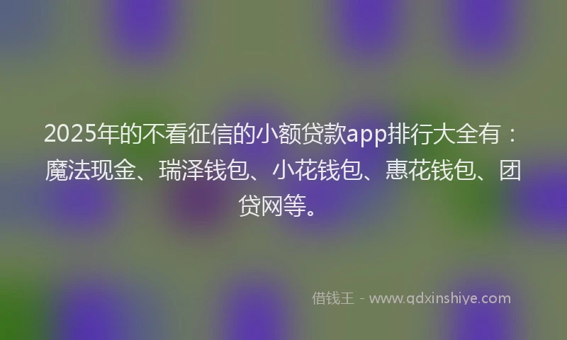 2025年的不看征信的小额贷款app排行大全有：魔法现金、瑞泽钱包、小花钱包、惠花钱包、团贷网等。
