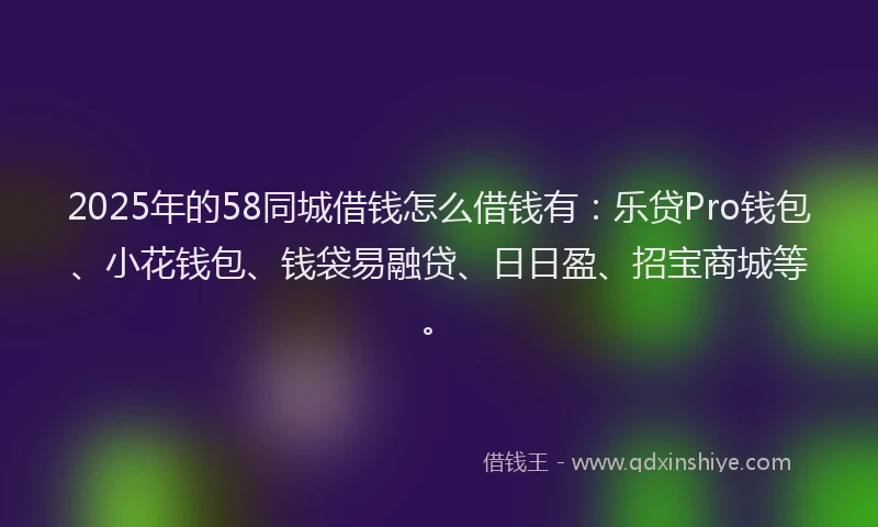 2025年的58同城借钱怎么借钱有：乐贷Pro钱包、小花钱包、钱袋易融贷、日日盈、招宝商城等。