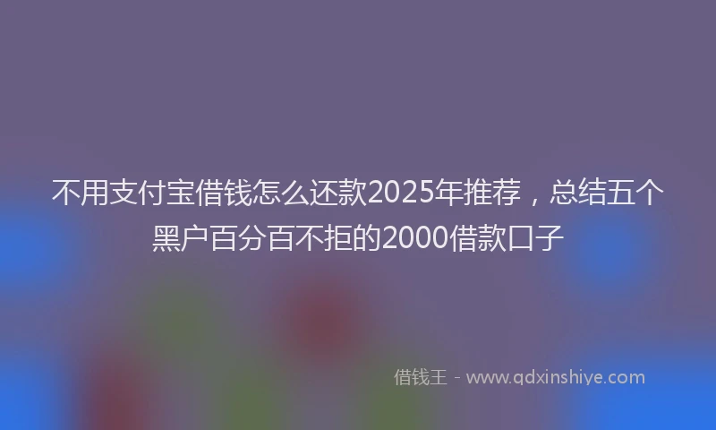 不用支付宝借钱怎么还款2025年推荐，总结五个黑户百分百不拒的2000借款口子