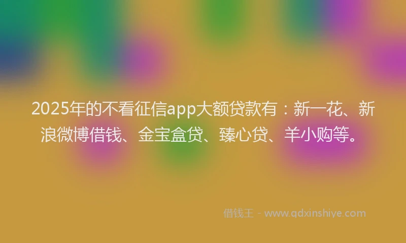 2025年的不看征信app大额贷款有：新一花、新浪微博借钱、金宝盒贷、臻心贷、羊小购等。