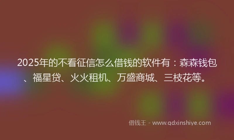 2025年的不看征信怎么借钱的软件有：森森钱包、福星贷、火火租机、万盛商城、三枝花等。