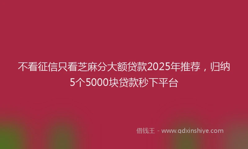 不看征信只看芝麻分大额贷款2025年推荐，归纳5个5000块贷款秒下平台