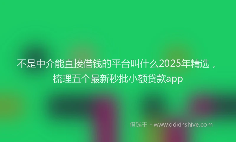 不是中介能直接借钱的平台叫什么2025年精选，梳理五个最新秒批小额贷款app