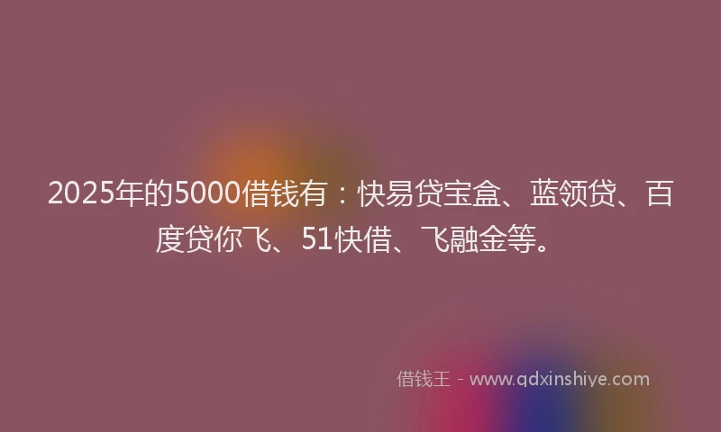 2025年的5000借钱有：快易贷宝盒、蓝领贷、百度贷你飞、51快借、飞融金等。