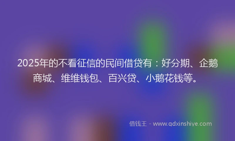 2025年的不看征信的民间借贷有：好分期、企鹅商城、维维钱包、百兴贷、小鹅花钱等。