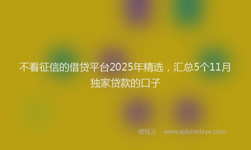 不看征信的借贷平台2025年精选，汇总5个11月独家贷款的口子