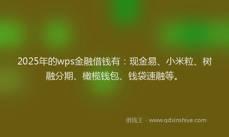 2025年的wps金融借钱有：现金易、小米粒、树融分期、橄榄钱包、钱袋速融等。
