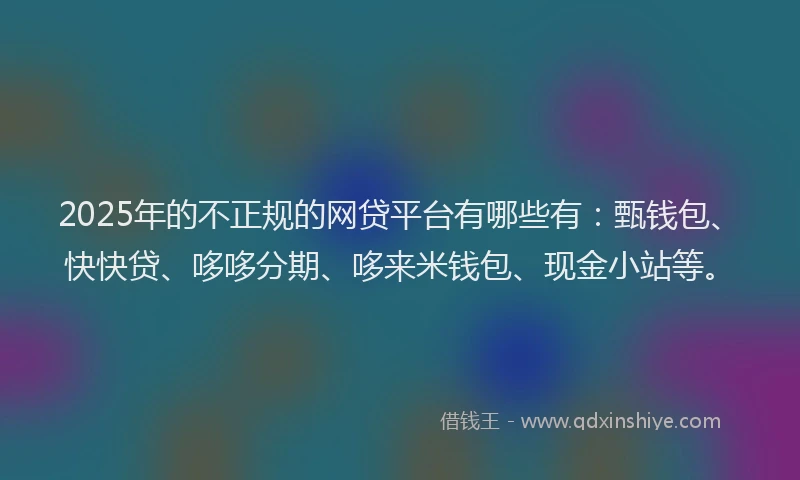 2025年的不正规的网贷平台有哪些有：甄钱包、快快贷、哆哆分期、哆来米钱包、现金小站等。