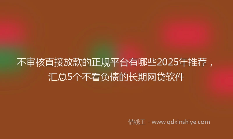不审核直接放款的正规平台有哪些2025年推荐，汇总5个不看负债的长期网贷软件