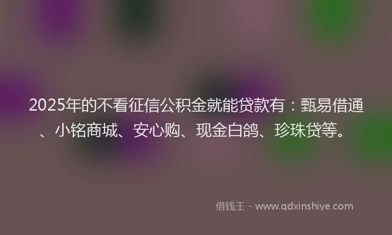 2025年的不看征信公积金就能贷款有：甄易借通、小铭商城、安心购、现金白鸽、珍珠贷等。