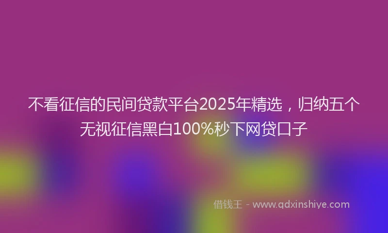 不看征信的民间贷款平台2025年精选，归纳五个无视征信黑白100%秒下网贷口子