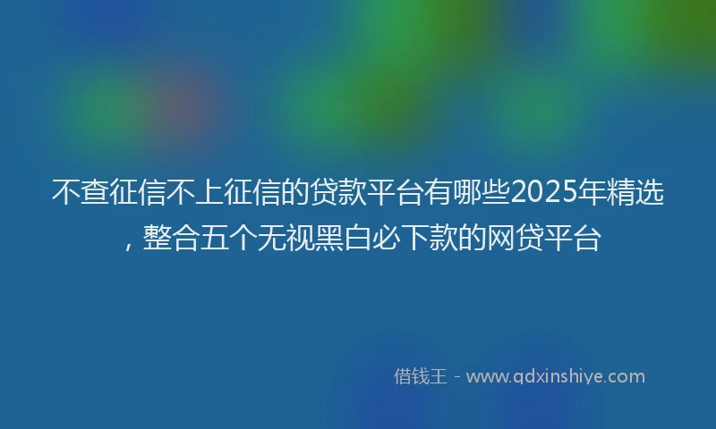 不查征信不上征信的贷款平台有哪些2025年精选，整合五个无视黑白必下款的网贷平台