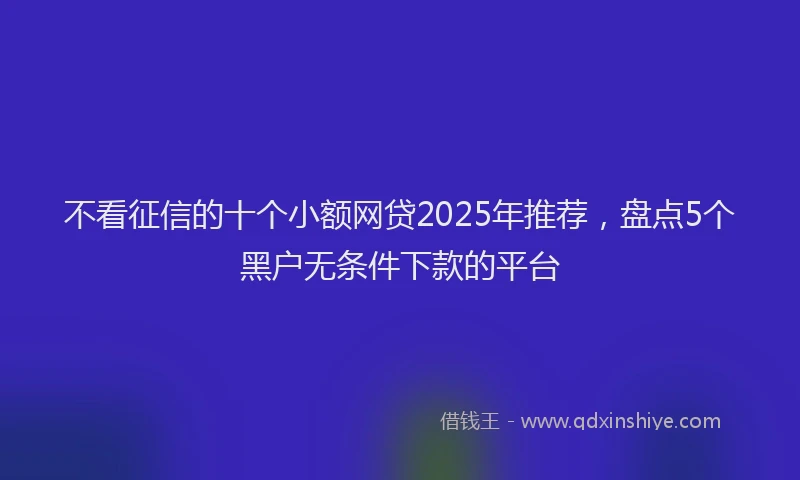 不看征信的十个小额网贷2025年推荐，盘点5个黑户无条件下款的平台