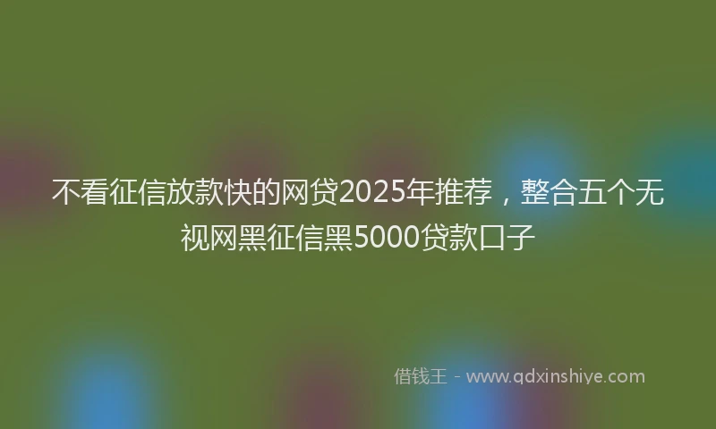 不看征信放款快的网贷2025年推荐，整合五个无视网黑征信黑5000贷款口子