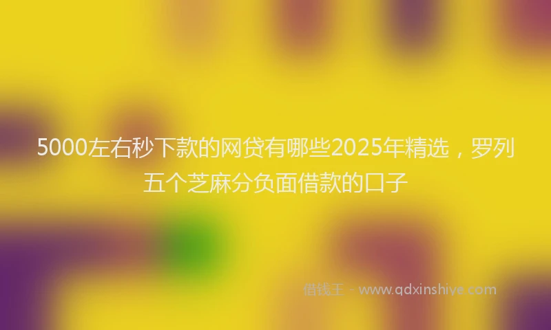 5000左右秒下款的网贷有哪些2025年精选，罗列五个芝麻分负面借款的口子