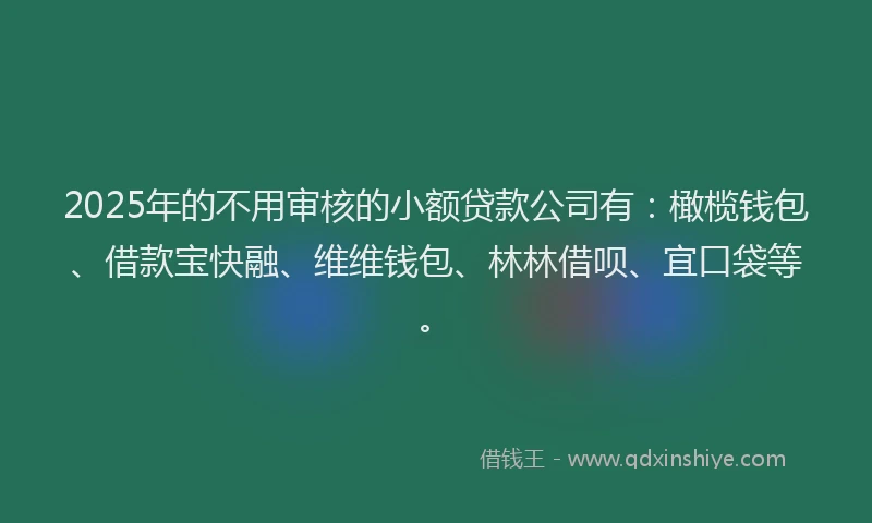 2025年的不用审核的小额贷款公司有：橄榄钱包、借款宝快融、维维钱包、林林借呗、宜口袋等。